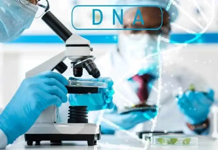 countries with mandatory paternity testing