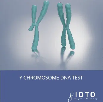 y chromosome dna test