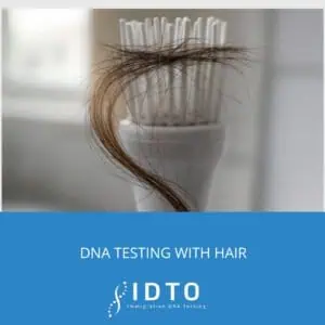 paternity test with hair