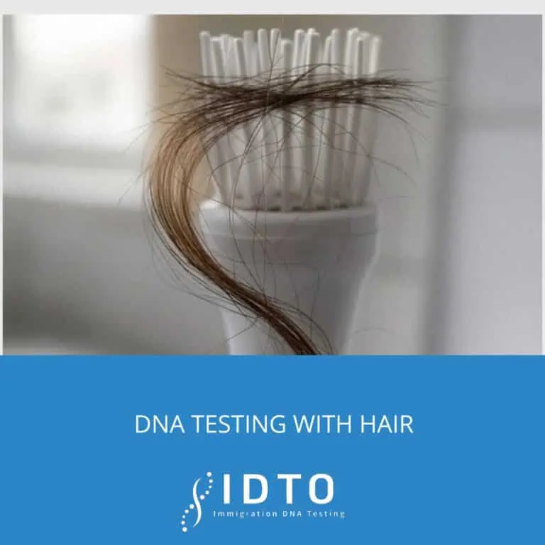 paternity test with hair