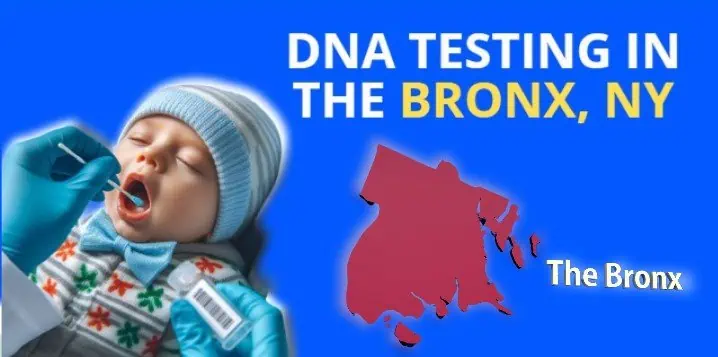 bronx dna tests