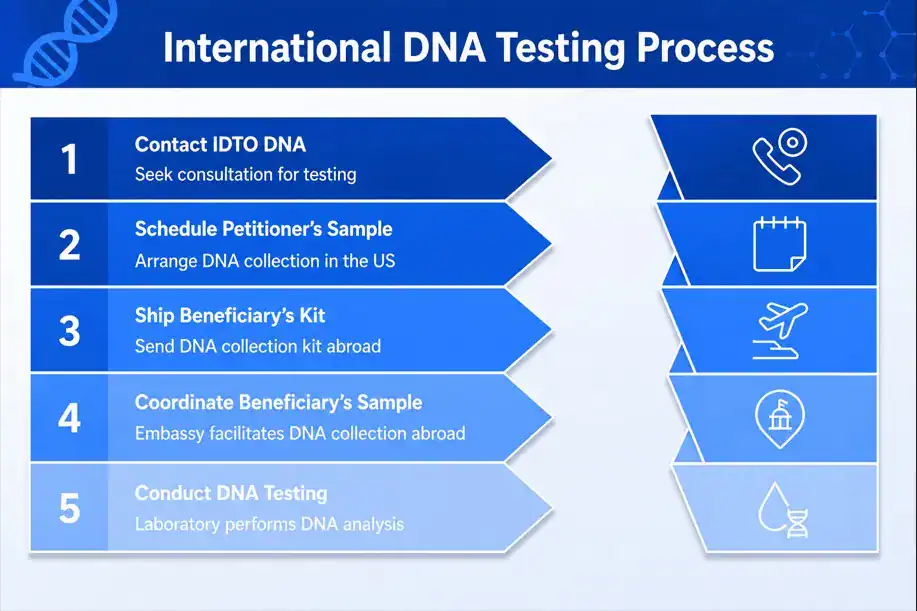 dna international testing process